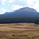 Lizard Head Pass Wilderness Camping Review - Open Area