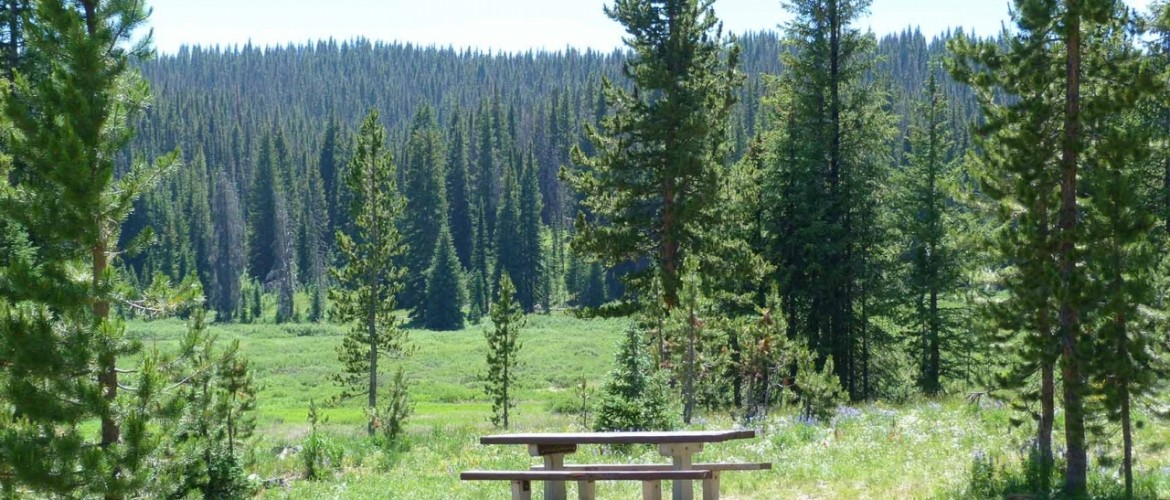 Go Camping for the Great American Campout 2015