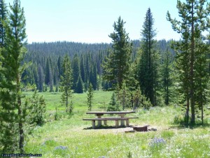 Go Camping for the Great American Campout 2015